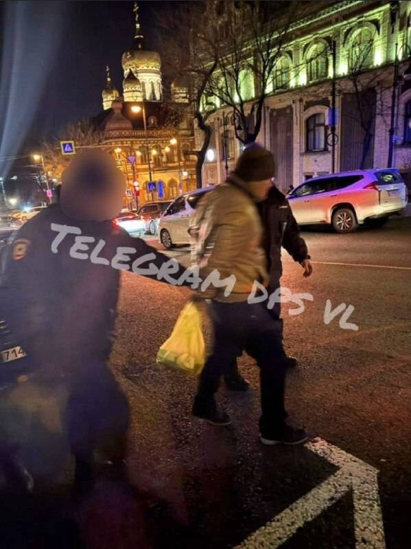    Источник фото: DPS VL