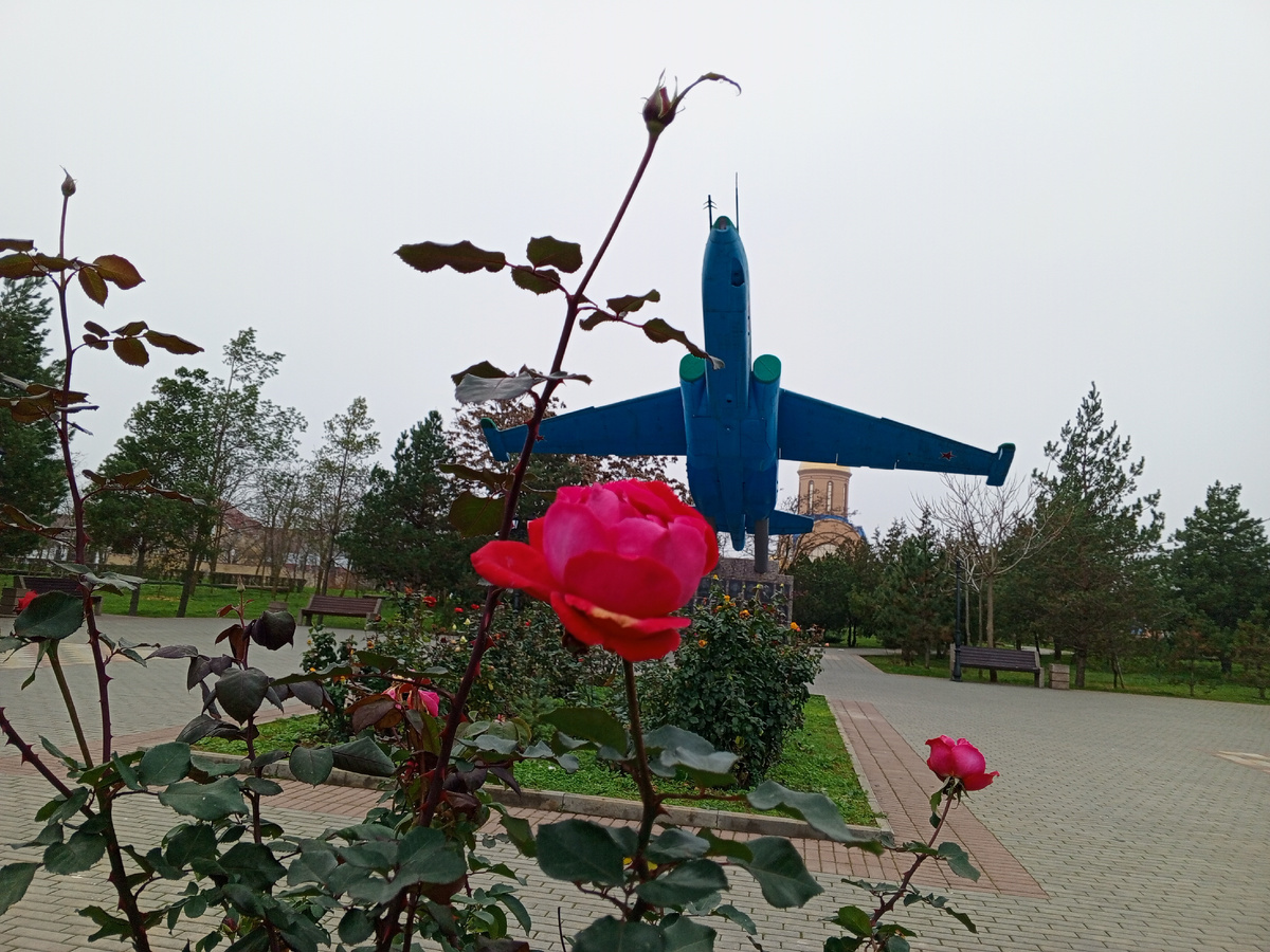 Фото автора.