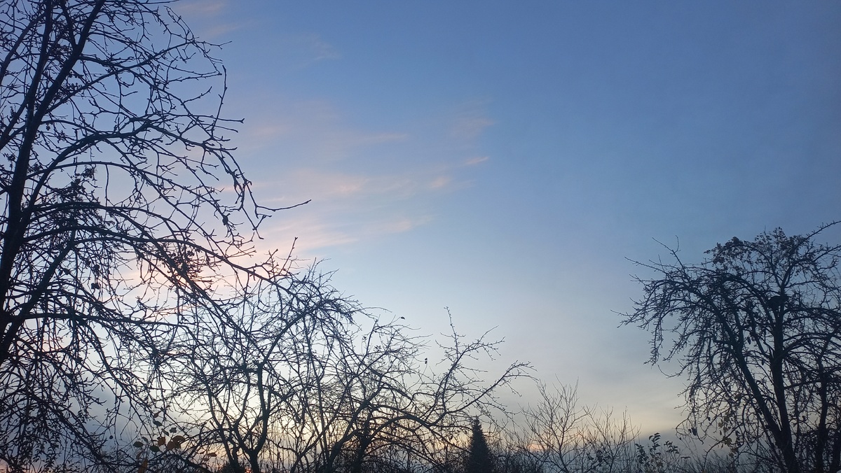 Предзакатное небо. Это и другие фото в статье сделаны автором и принадлежат ему на условиях авторского права ©