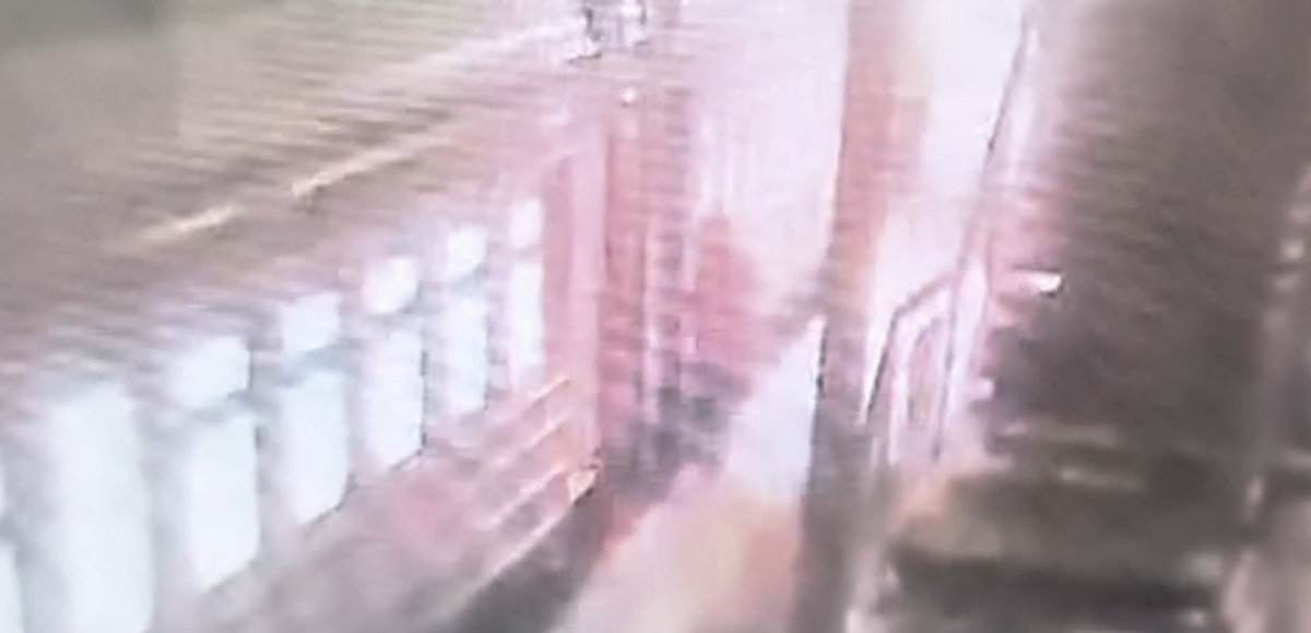 Елена садится в электричку