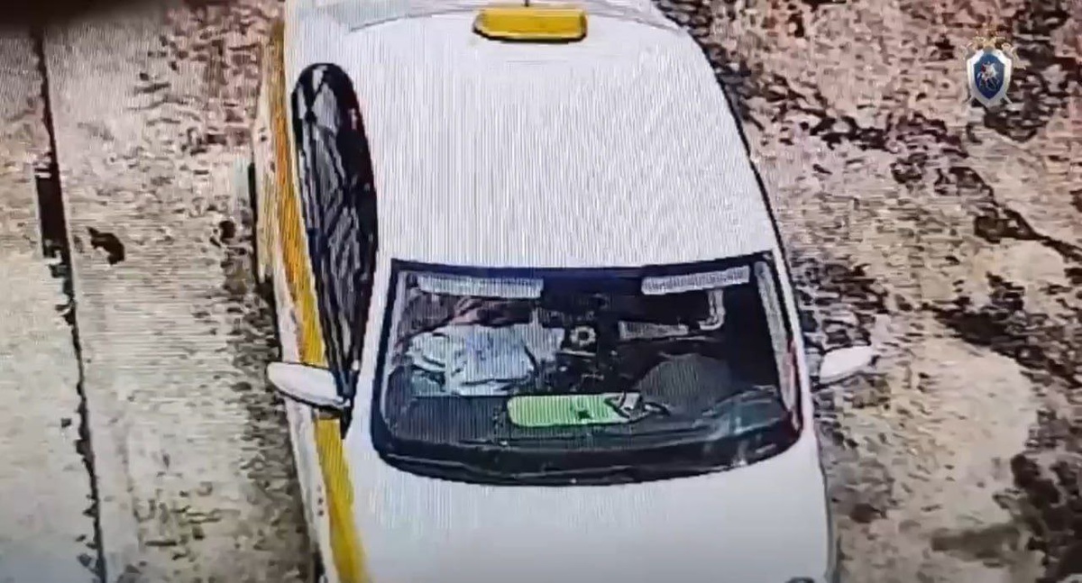 Камеры видеонаблюдения на АЗС. По видео видно, что Елена уже в бессознательном состоянии