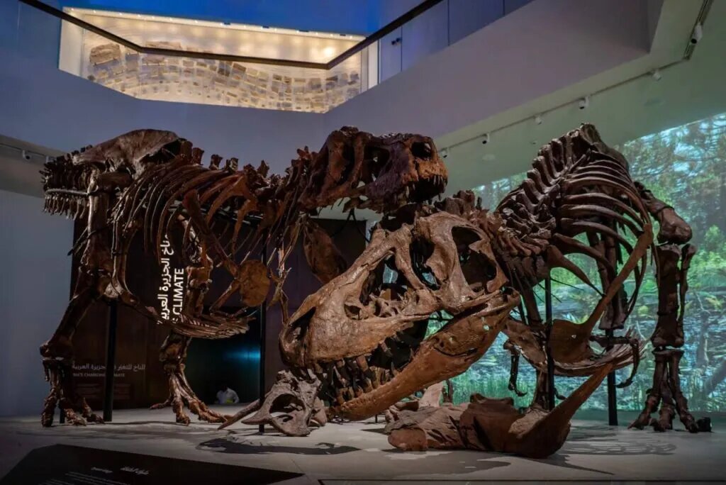 Источник фото: сайт National Geographic