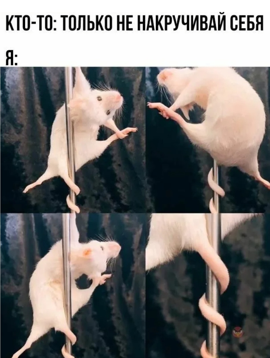 Яндекс-картинки 