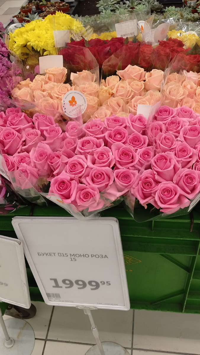 Розы. Фото автора.