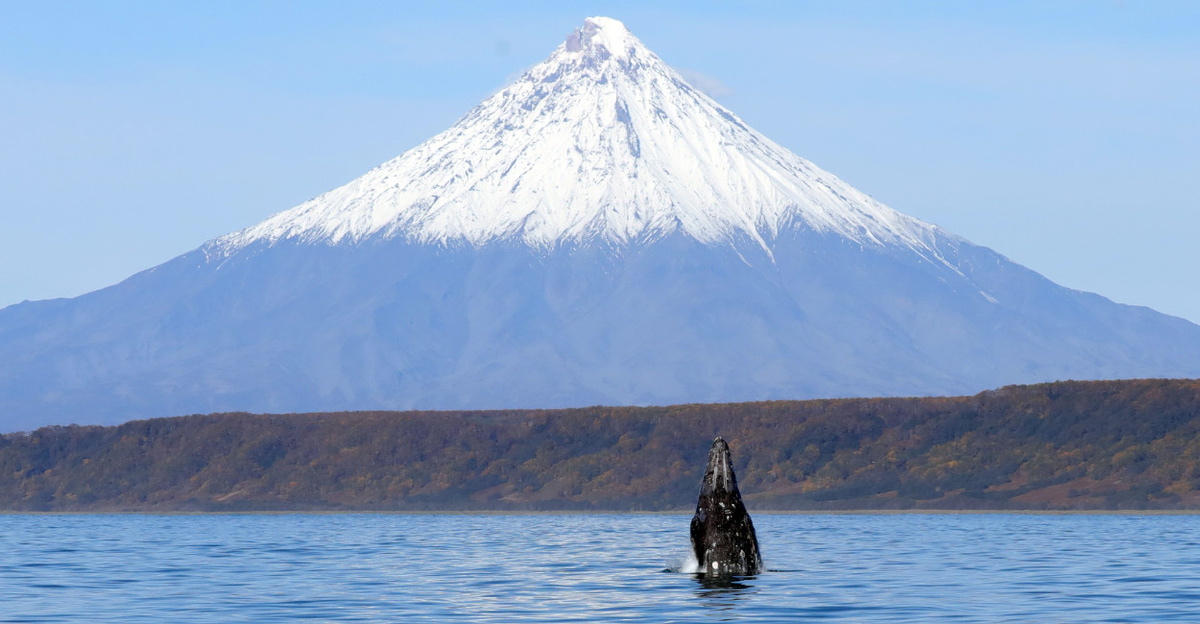Фото Евгении Волковой / Кроноцкий заповедник