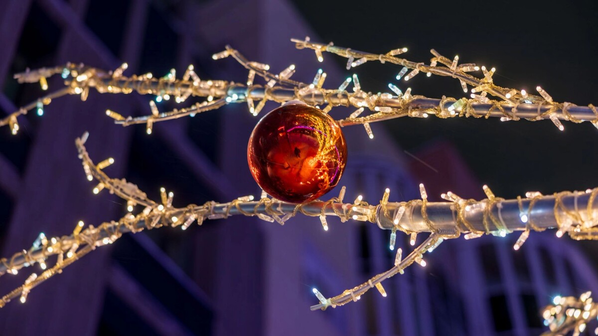    Фото: Федор Воронов / «Ямал-Медиа»