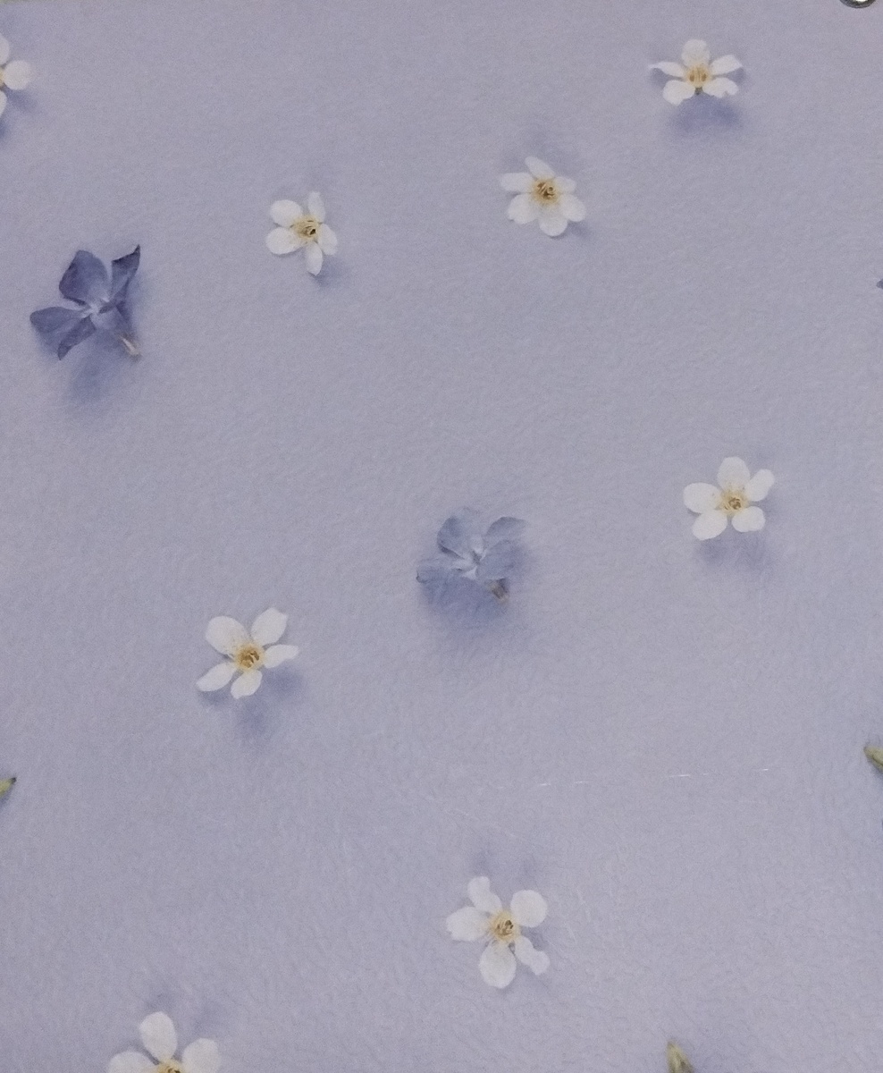 Сиреневые цветы