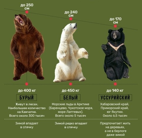 Картинку нашли на просторах интернета, к сожалению автор не известен...