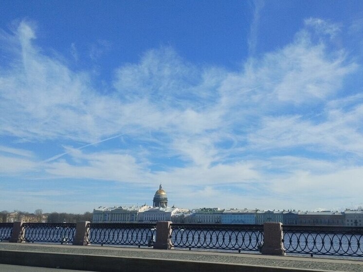     В ведомстве советуют выходить на улицу в обеденные часы — именно в это время освещённость максимальна. Фото: архив МК в Питере.