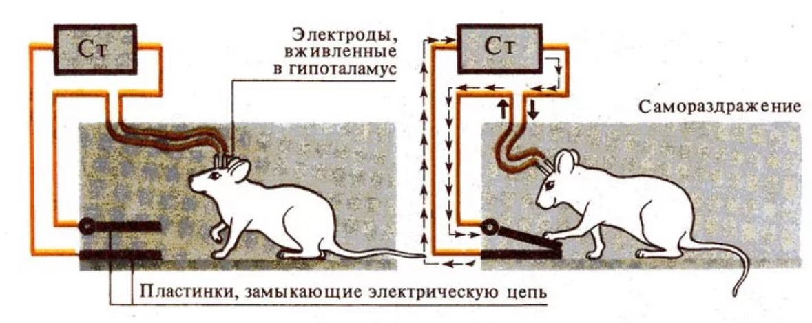 Источник: Яндекс картинки