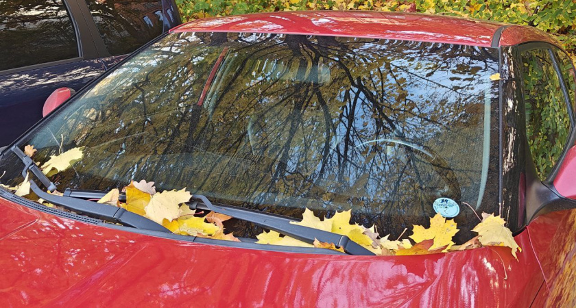    4 капли на 1 л воды - и лобовое внутри зимой без конденсата: о дворниках можно навсегда забыть