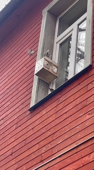 Рига, 8 ноября 2025