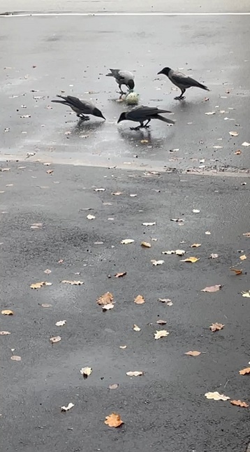 Рига, 27 октября 2025