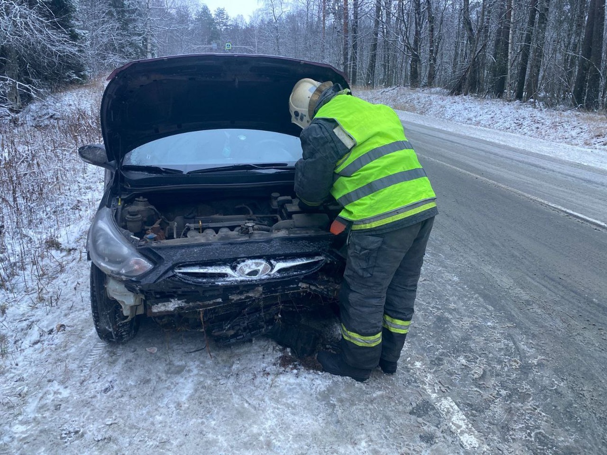    фото: © Госкомитет Карелии по безопасности населения