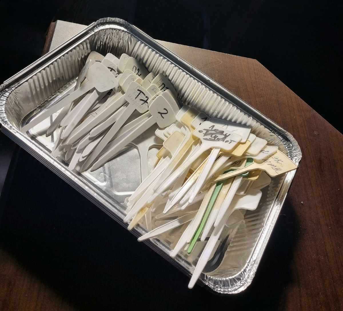 Бирки чисто вымыты. Фото: Зеленая леди, сад, семья и томатный сок 