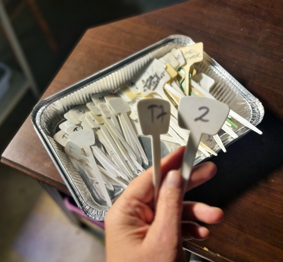 Маркер не смывается. Фото: Зеленая леди, сад, семья и томатный сок 