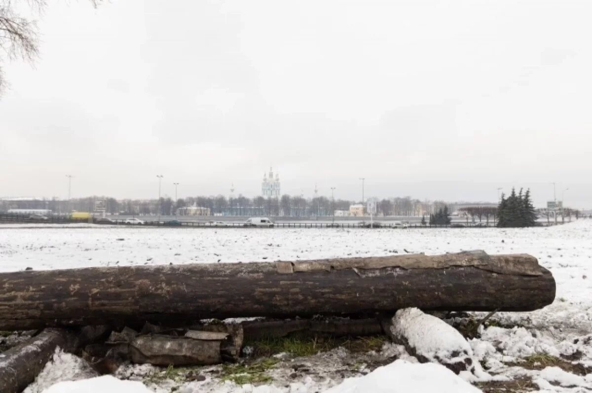    В Петербурге обнаружили деревянный водопровод древнего города Ниена