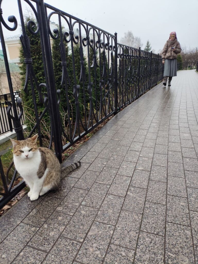    Конкурсная работа-победитель в номинации   
«Репортаж:  Пройду я по Канавке, да вместе с Богородицей».    
Автор Ольга Бочкарёва