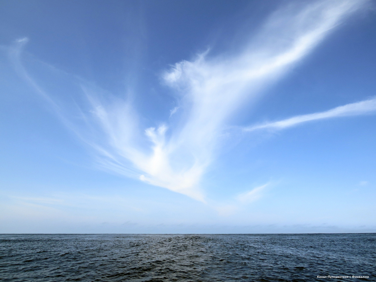 Это облачко мне особенно понравилось. Кого оно вам напоминает?