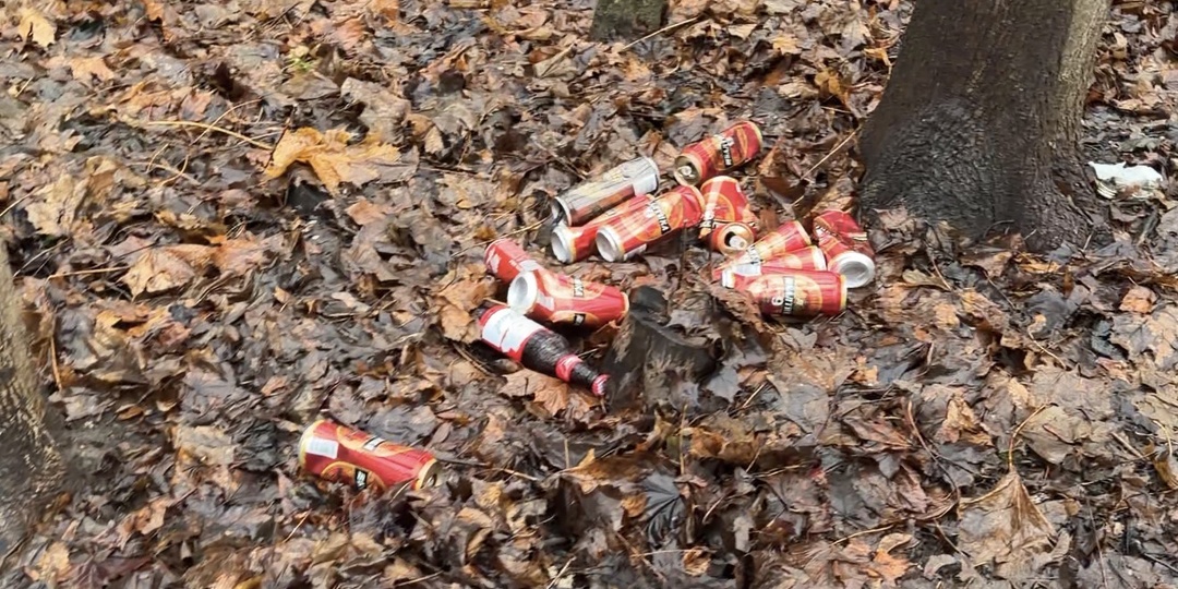 Грязнули в парке.