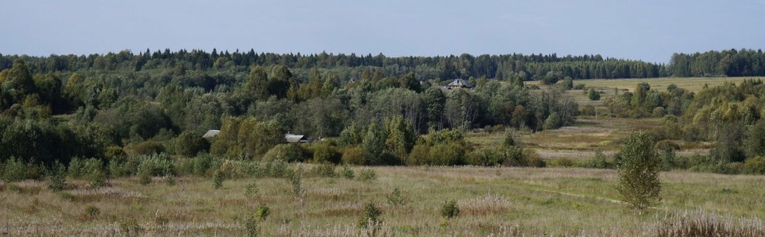 Окрестности села Николо-Молокша