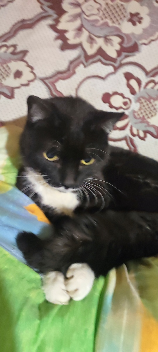 На новом месте. 