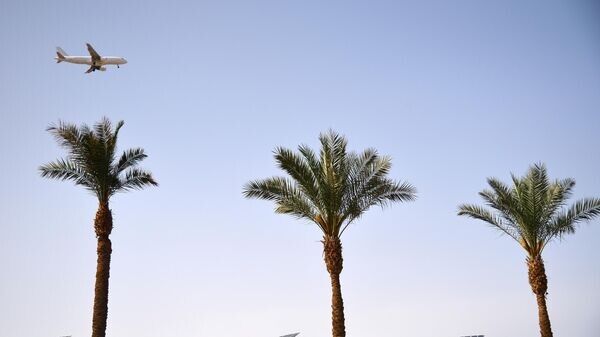    © Sputnik / Алексей Витвицкий