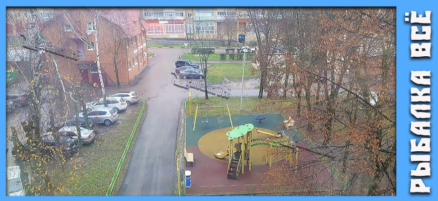 Ноябрь? Ноябрь! А в России еще стоит плюсовая температура