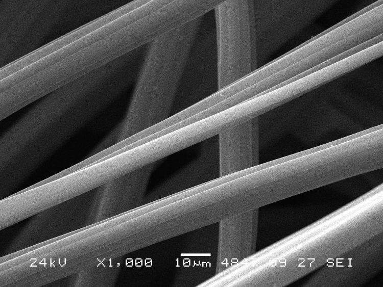 Фото: ИК СО РАН