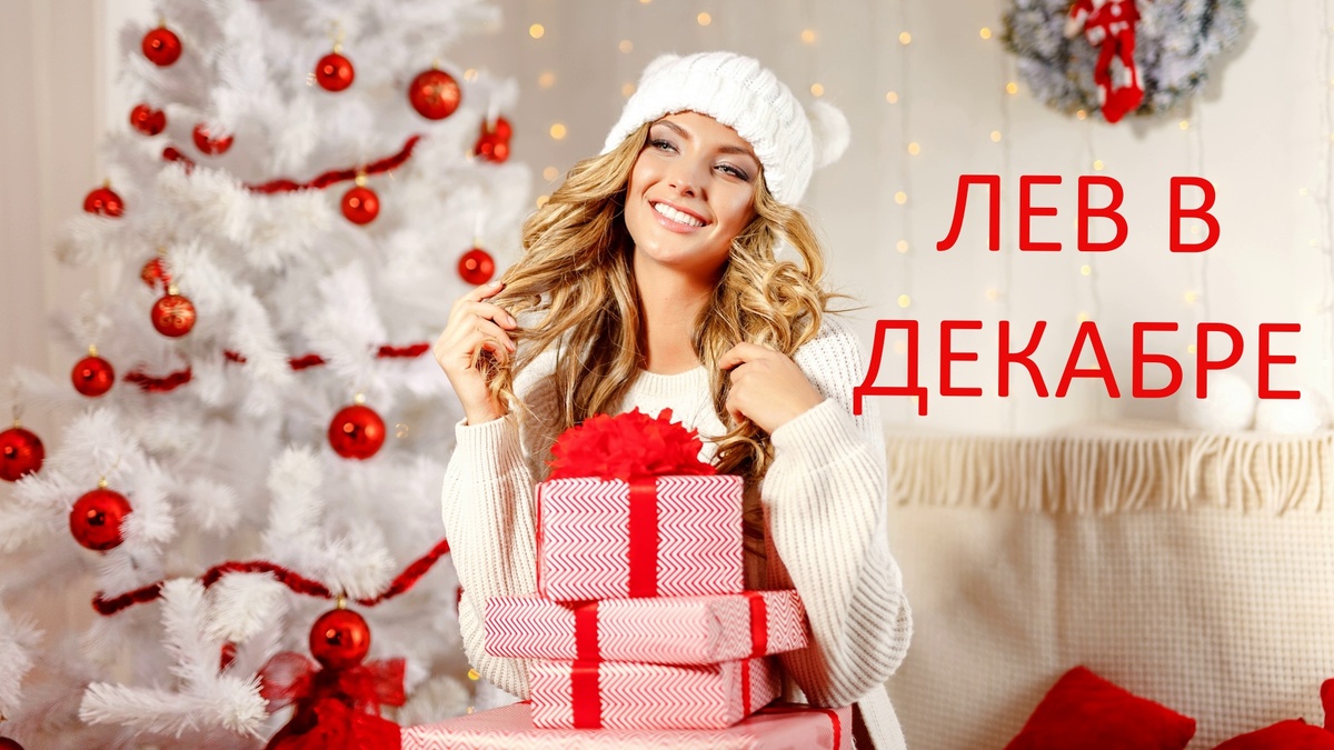 Лев в декабре. Фото ru.wallpaper.mob.org