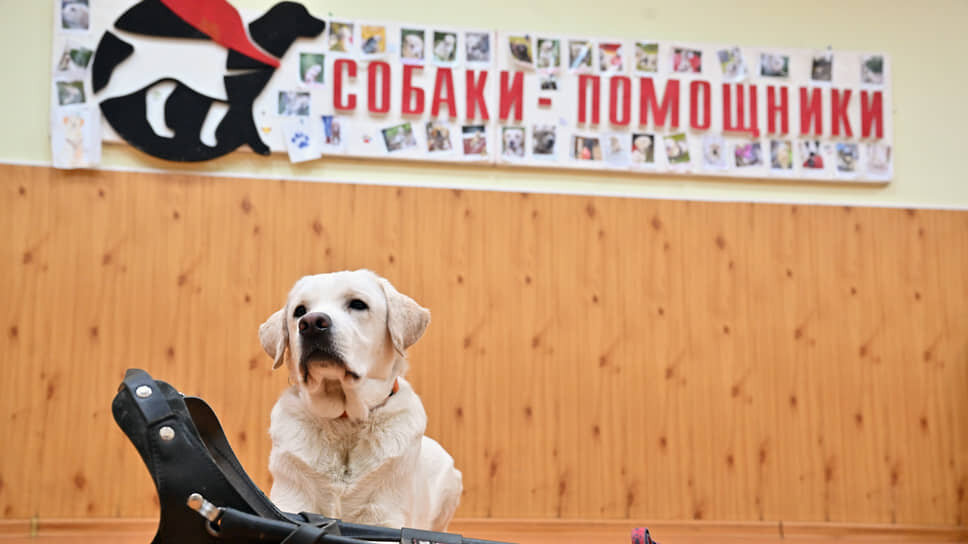 Фото: Дмитрий Лебедев / Коммерсантъ