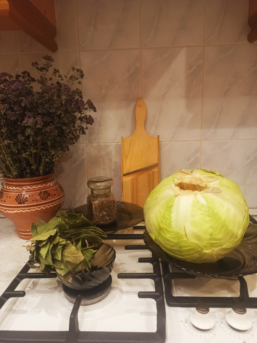 Кочерыжка треснула. Значит точно хороший вилок. 