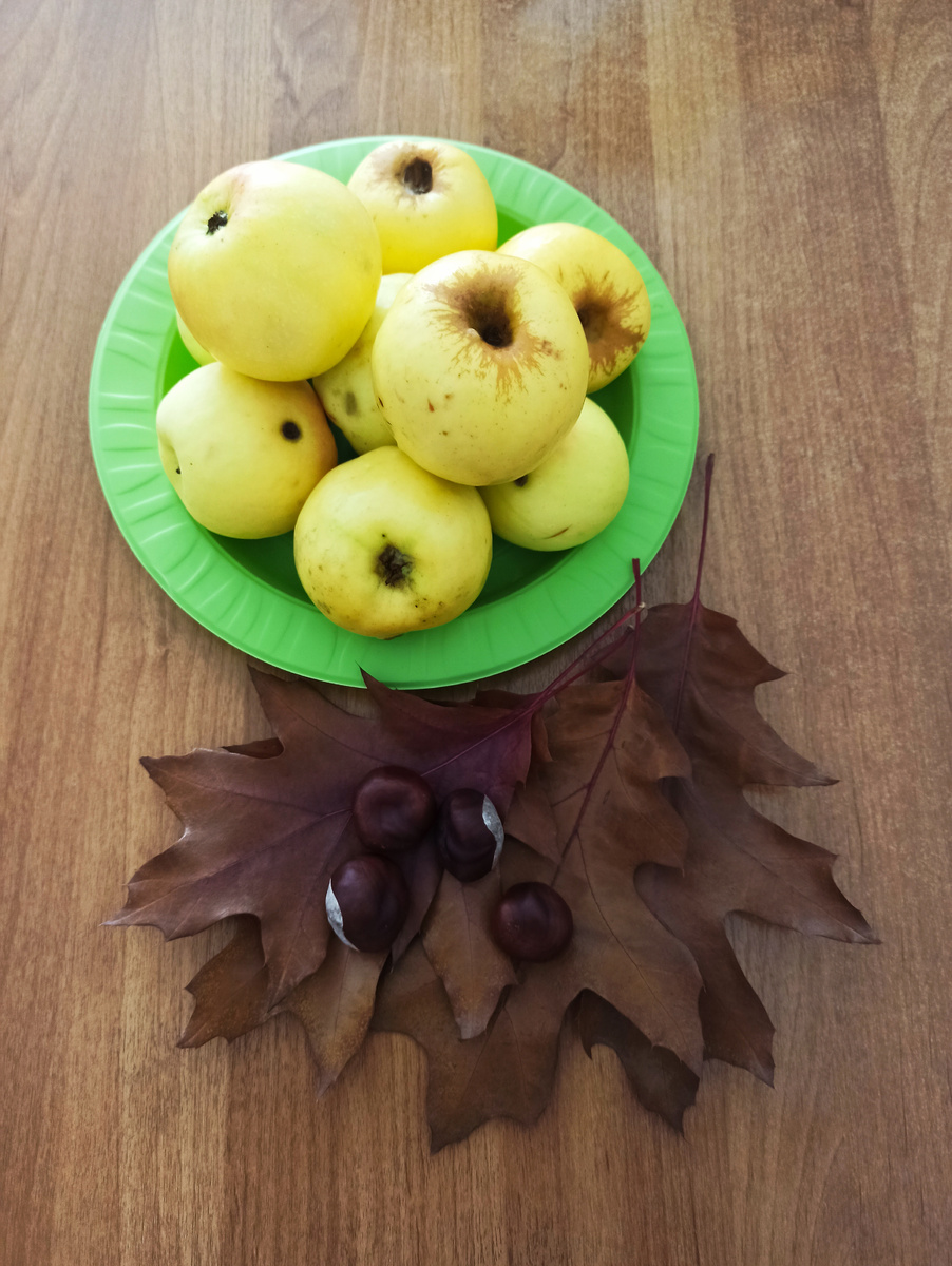 Сезонная композиция в офисе. Заряжаемся витаминами. 