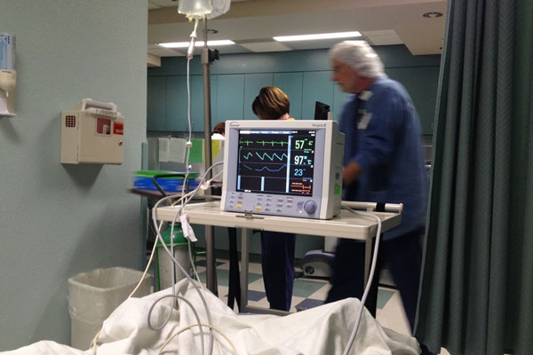     Фото: PxHere.com