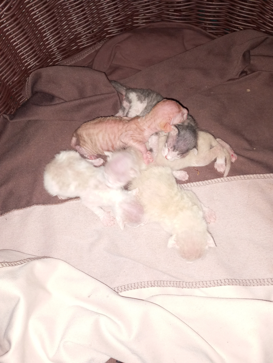 Наши малявочки