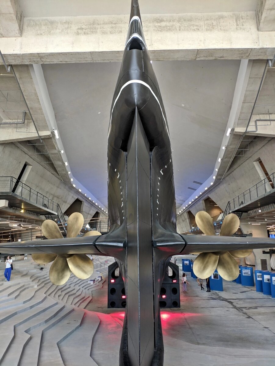    Фото: spb.aif.ru/ Вероника Такмовцева