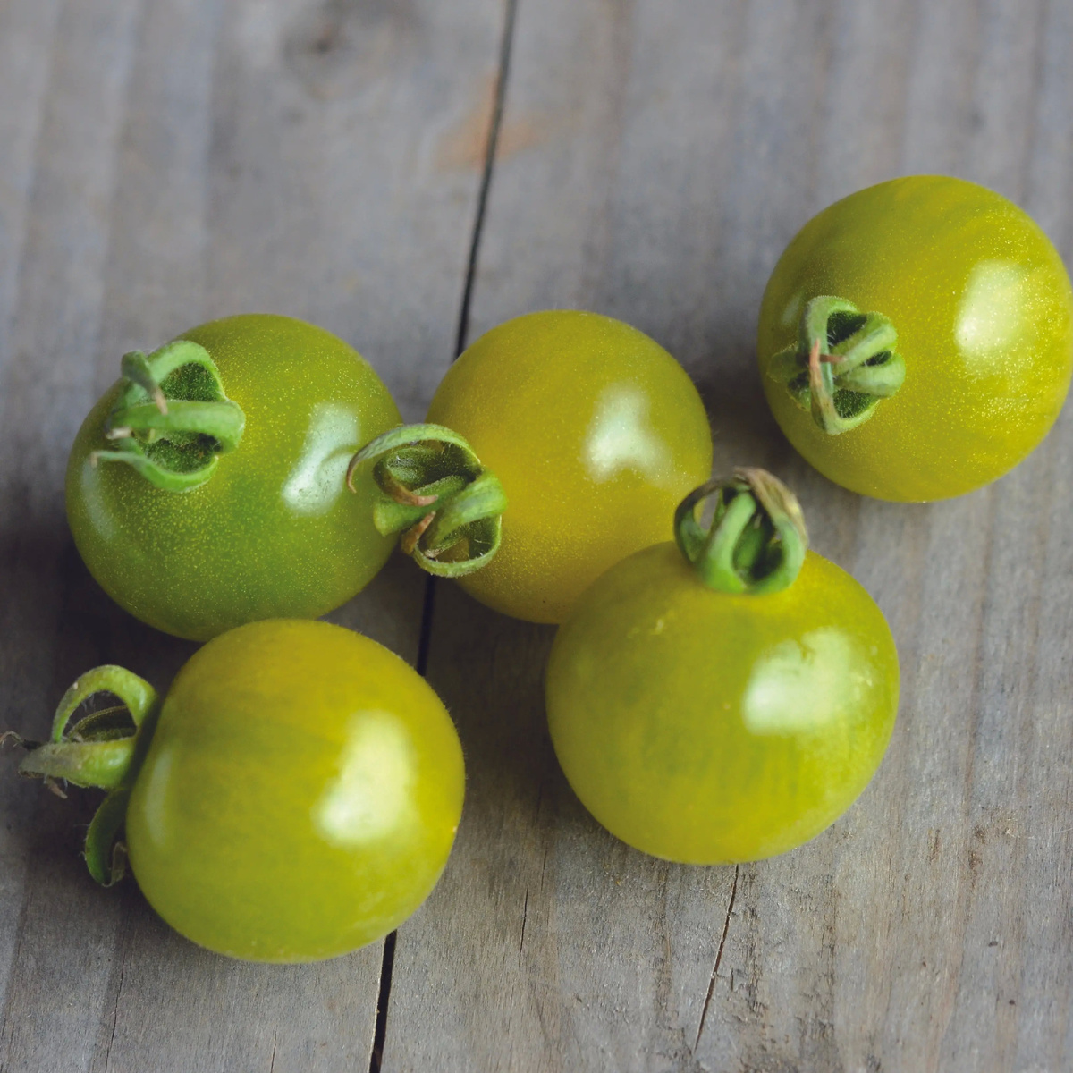 Томат Green Doctors Frosted