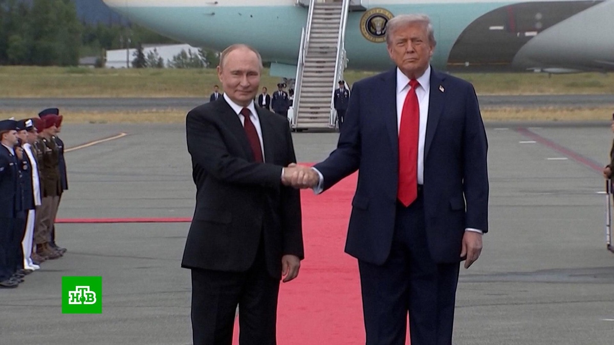    Подписание мирного плана Трампа может стать фатальным для Зеленского