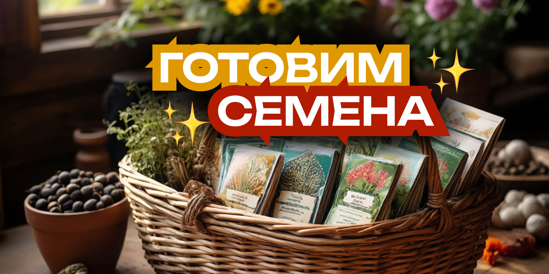 А ваша корзина с семенами уже трещит по швам? 🌱