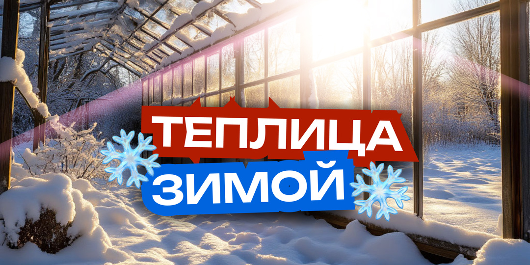 Ваша теплица под снегом: красота или тихая катастрофа?❄️