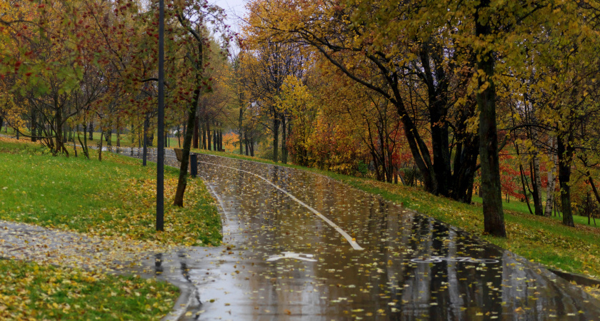    Такого в России уже очень давно не бывало: Вильфанд обновил прогноз погоды на ноябрь — готовимся к худшему