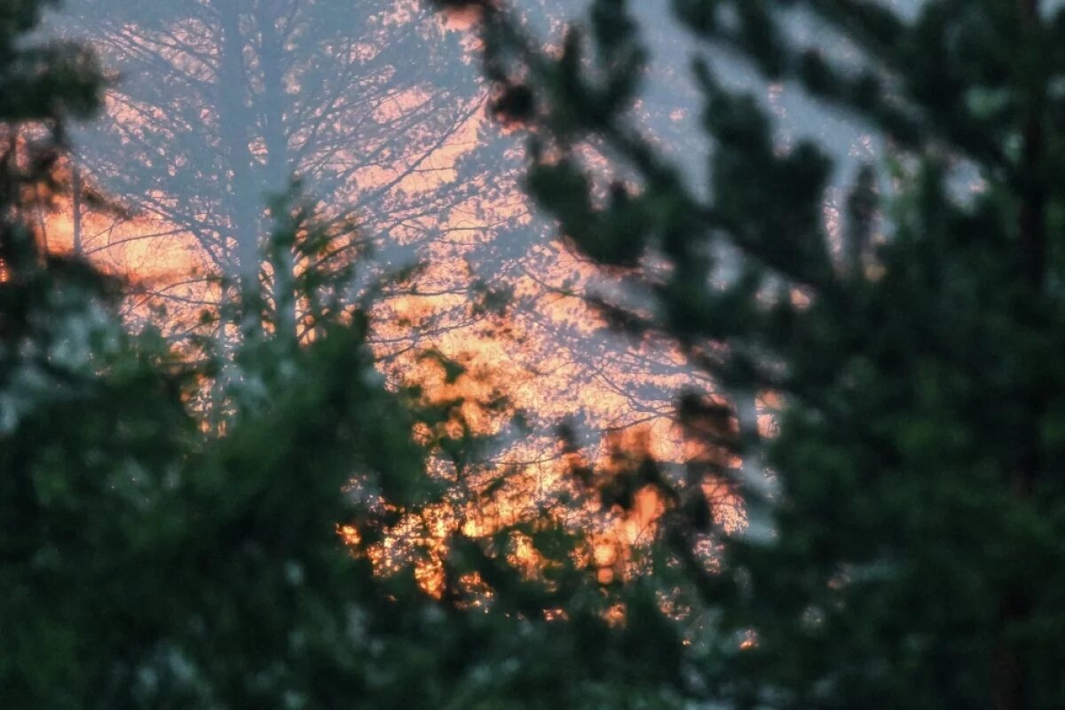    Лесной пожар в Забайкальском крае. Лесной пожар на площади 100 гектаров тушат в 2,6 километра от поселка Атамановка.