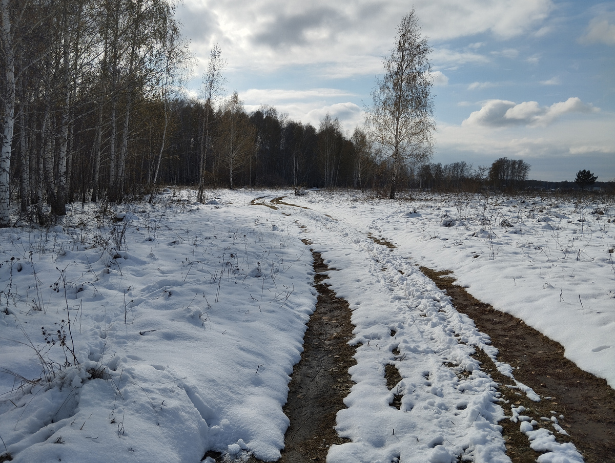 Новосибирск в начале октября. А в Питере   + 8, зелёные газоны и цветы цветут...