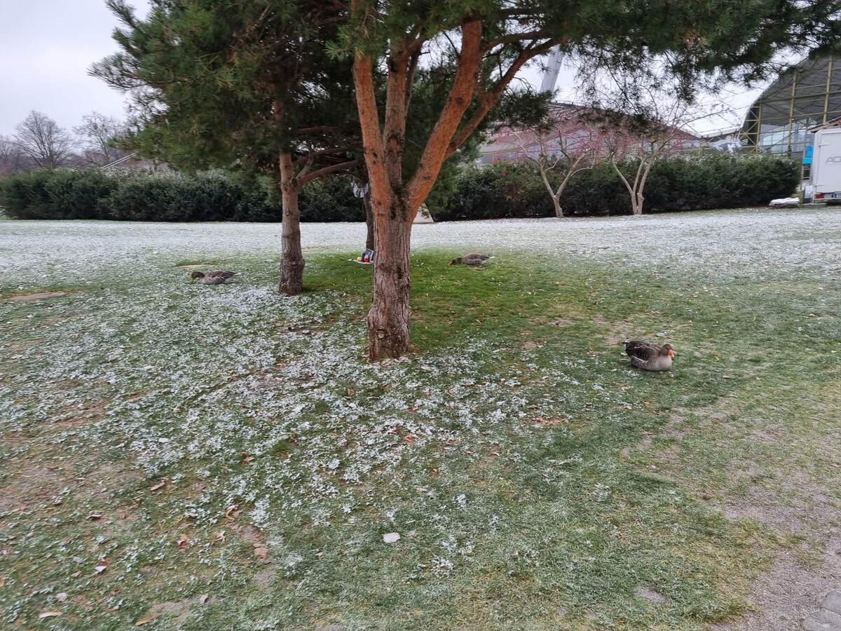 сегодня по дороге в баню, Мюнхен, 22.11.2025