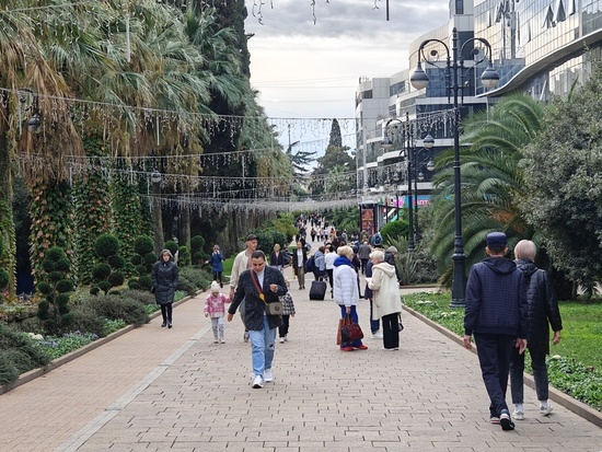    Фото: Юрий Серебренников/BFM Кубань