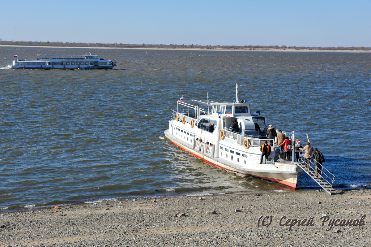 Хабаровск, октябрь 2010г;