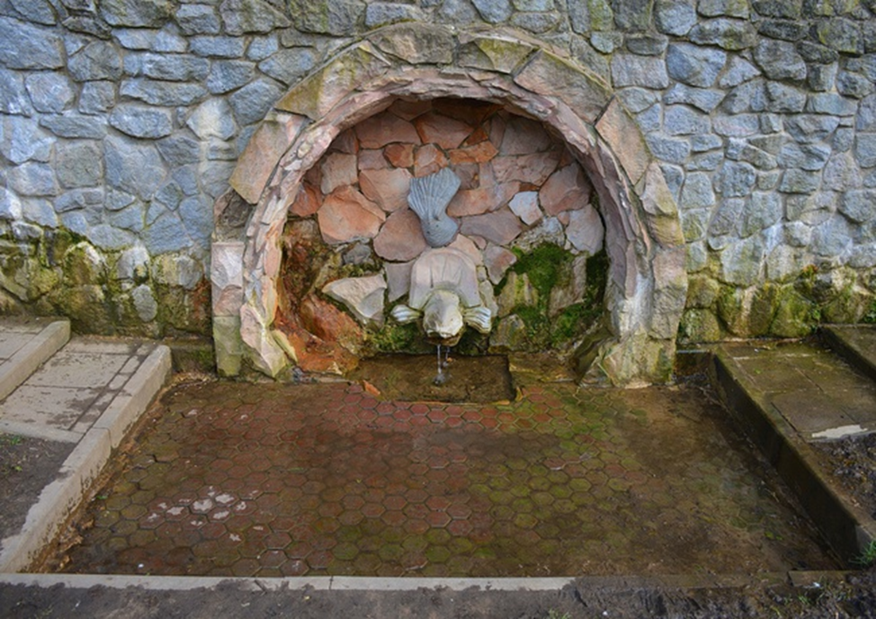 Все фотографии в статье мои. Труба спрятана в голове у сома