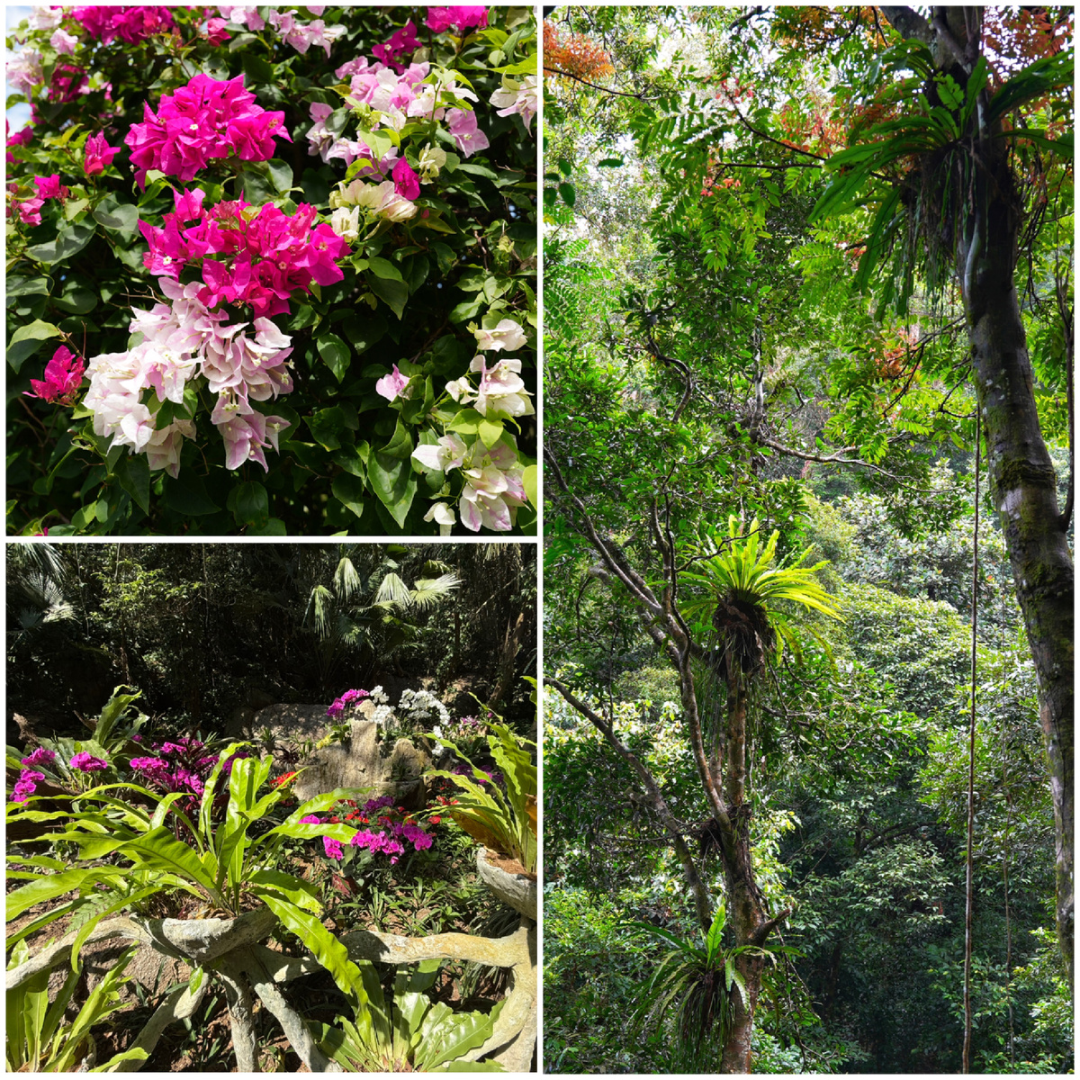 Парк Янода, г. Санья, Хайнань