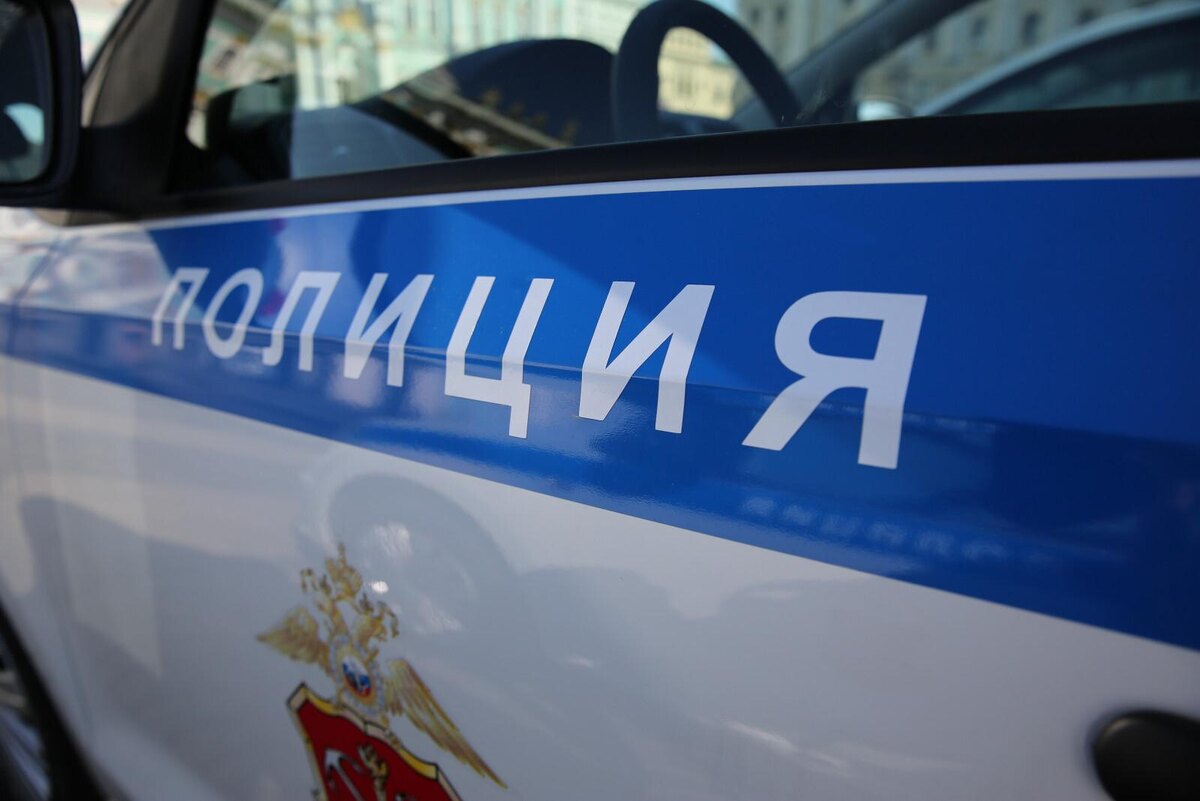 Фото: Дмитрий Фуфаев / «Петербургский дневник»