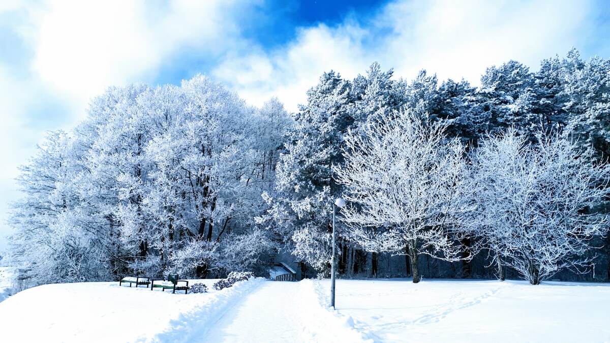 На берегу озера Нарочь в морозный день